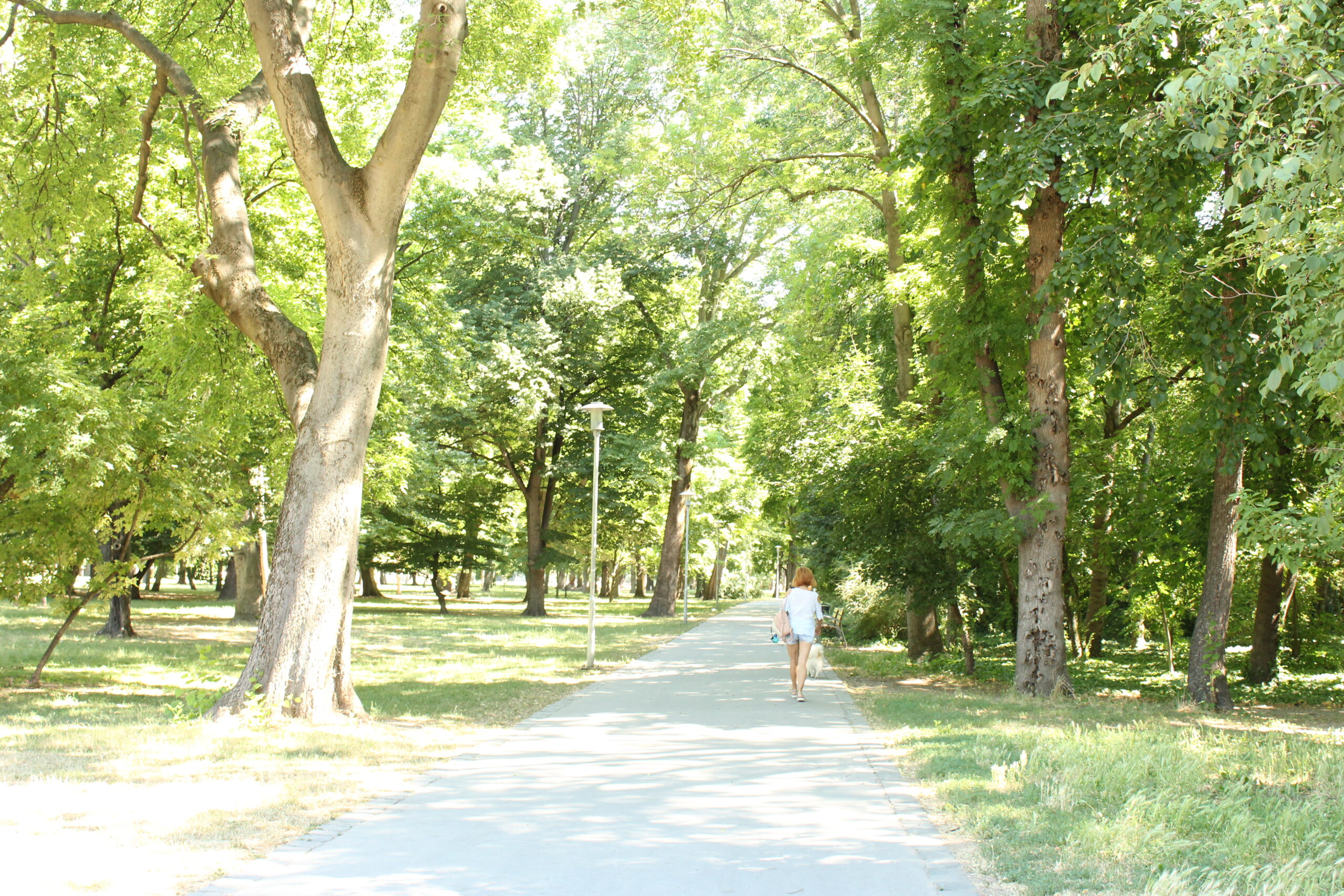 Margaret Island